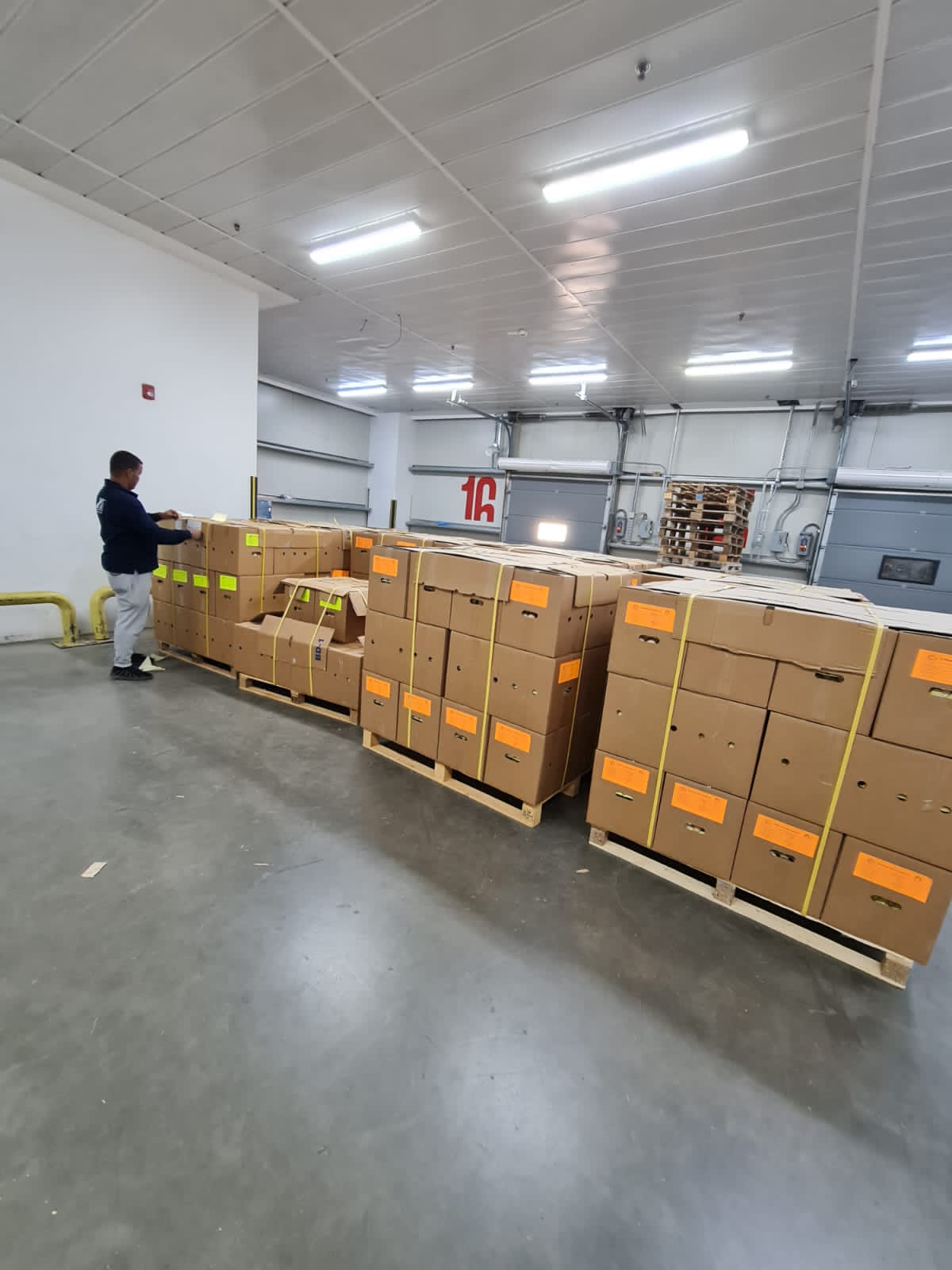 Veterinary & Nutrition Services